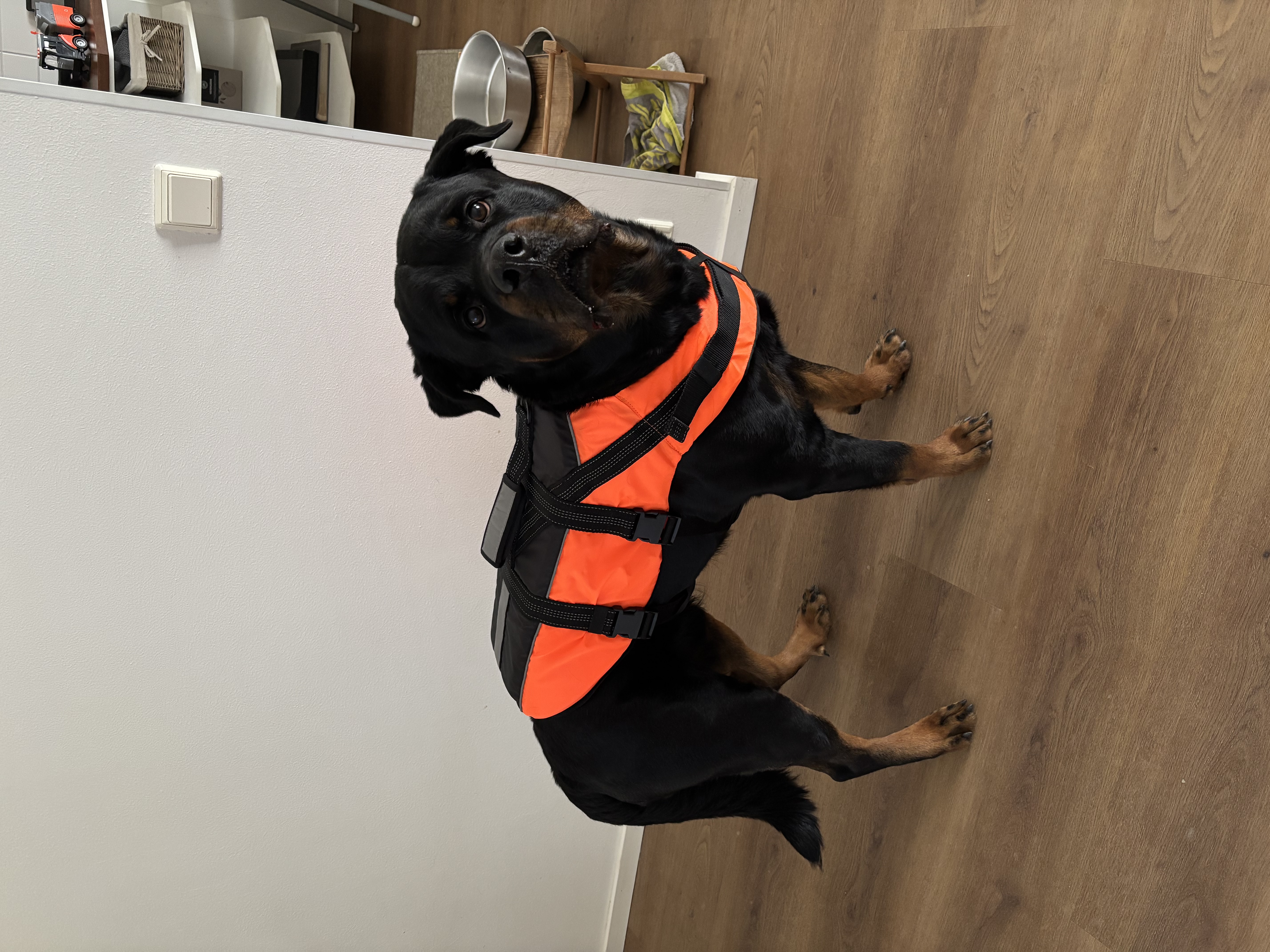 Rukka koiran pelastusliivi xl