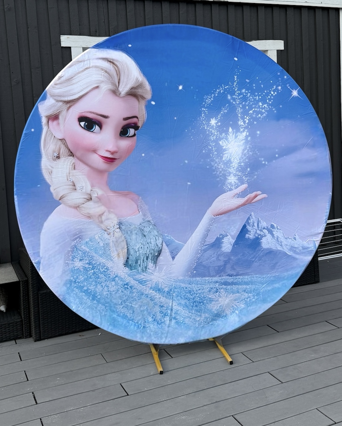 Disney frozen elsa backdrop