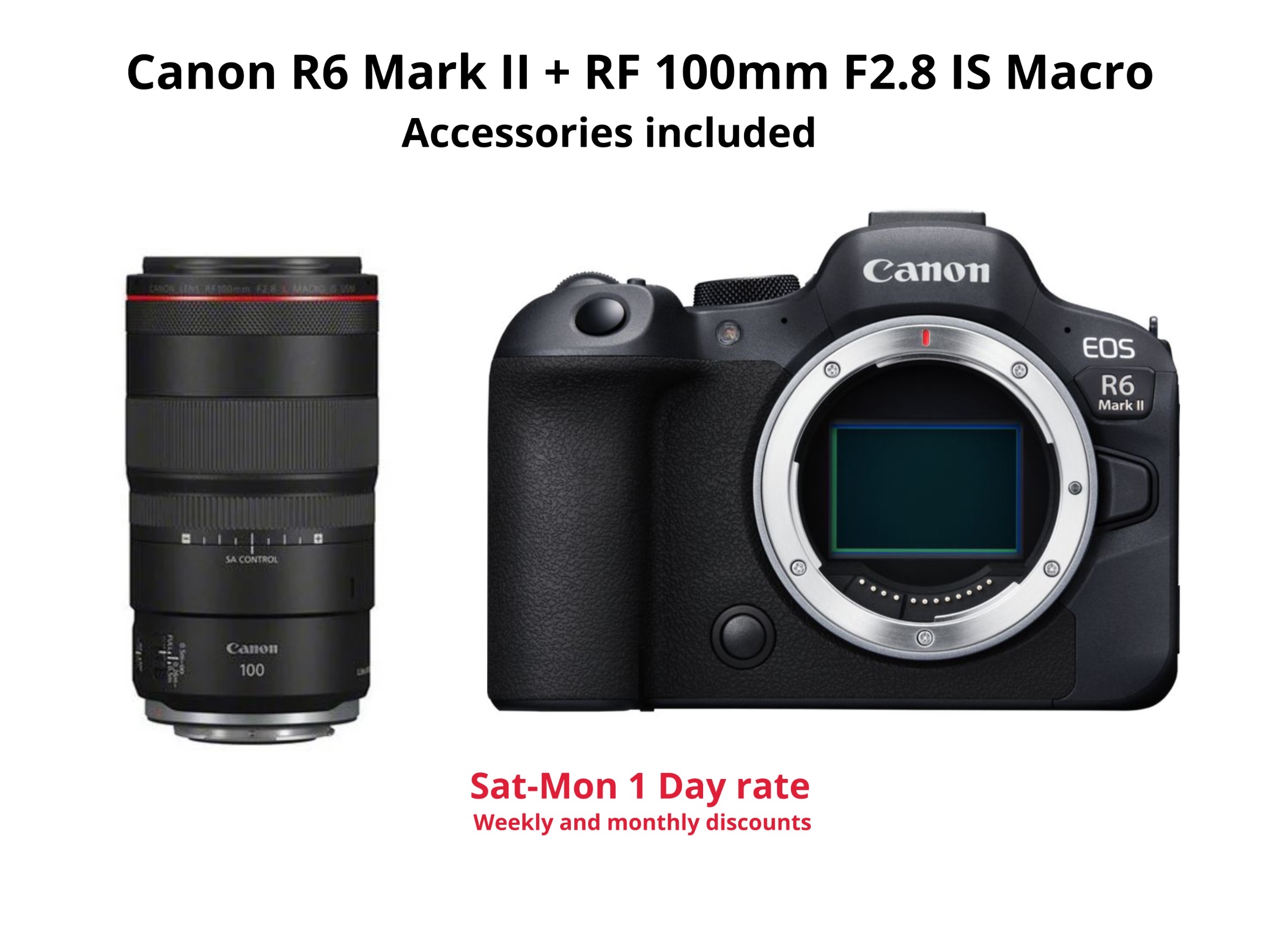 Canon r6 mark ii + rf 100mm macro f2.8 