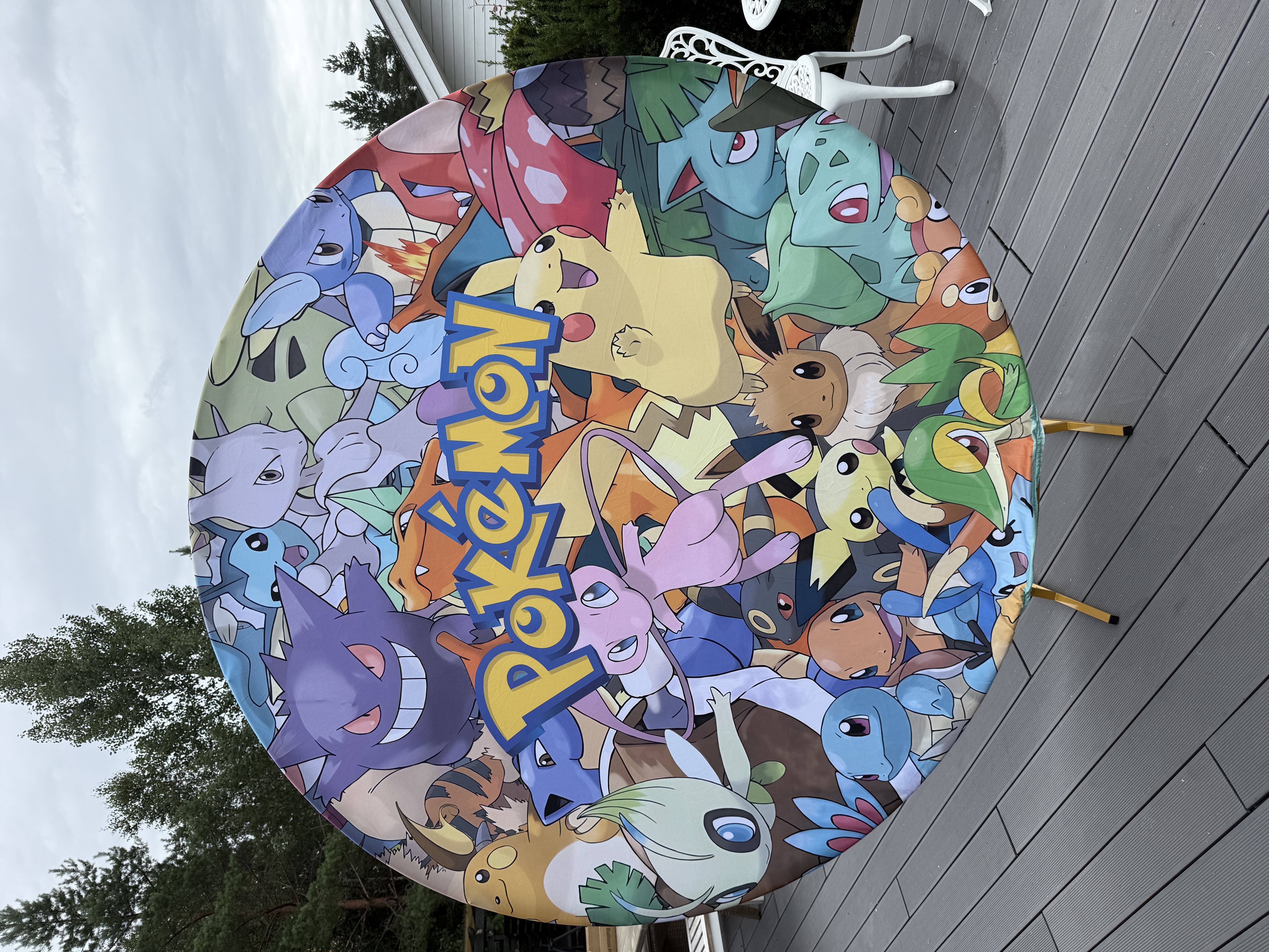 Pokémon backdrop / ballongbue 