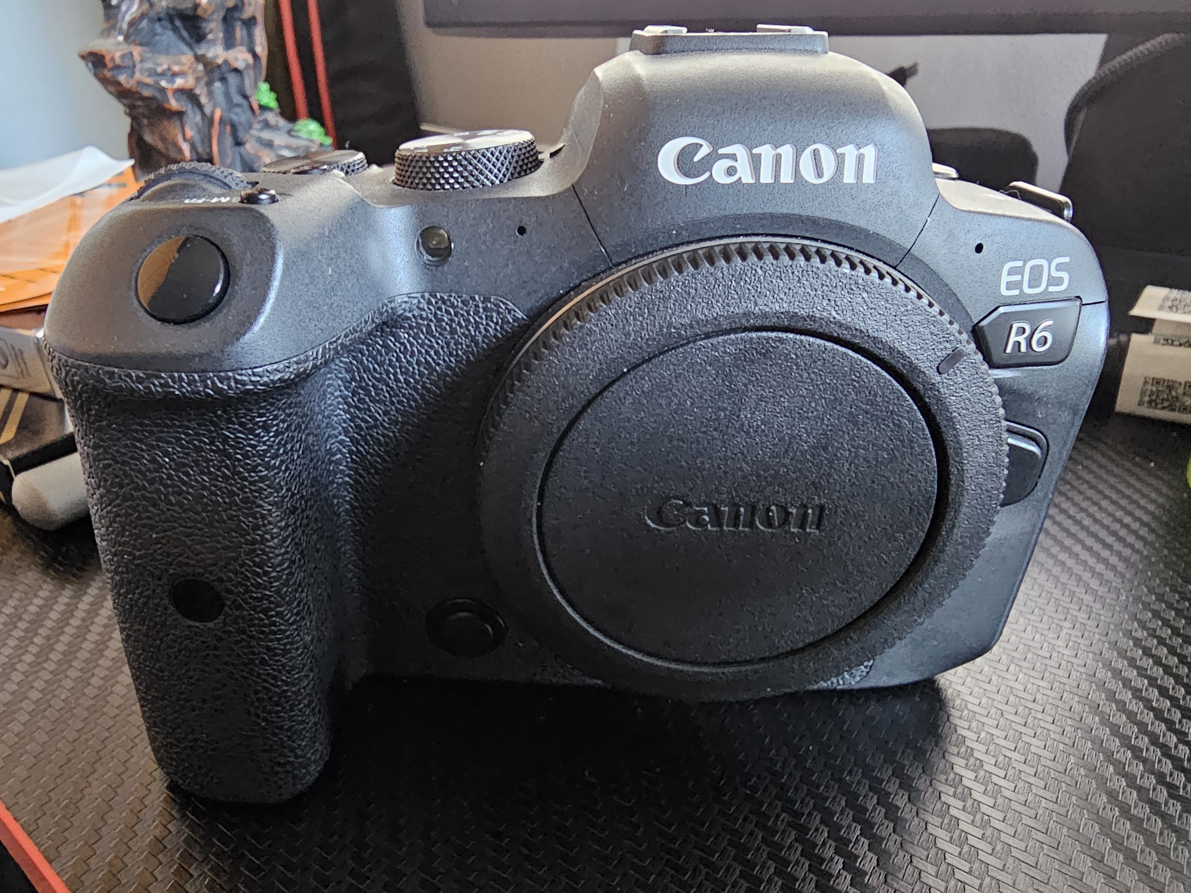 Canon eos r6 full frame mirrorless – professional backup / starter kit