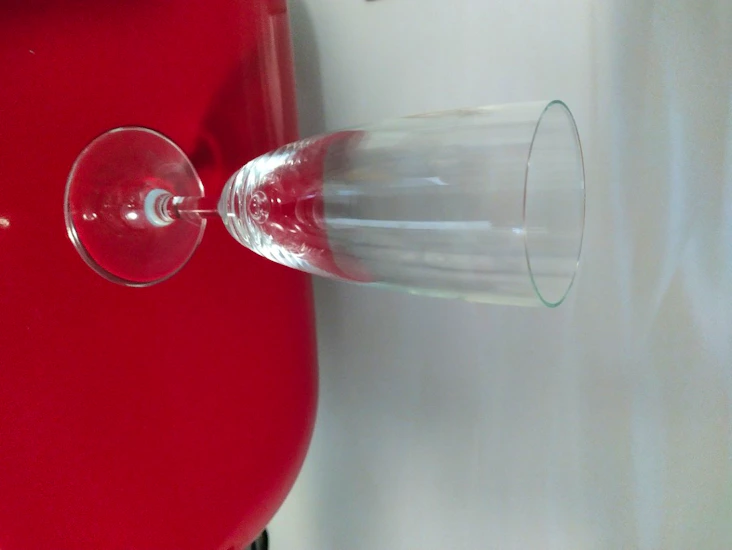 Kuohuviinilaseja 100 kpl