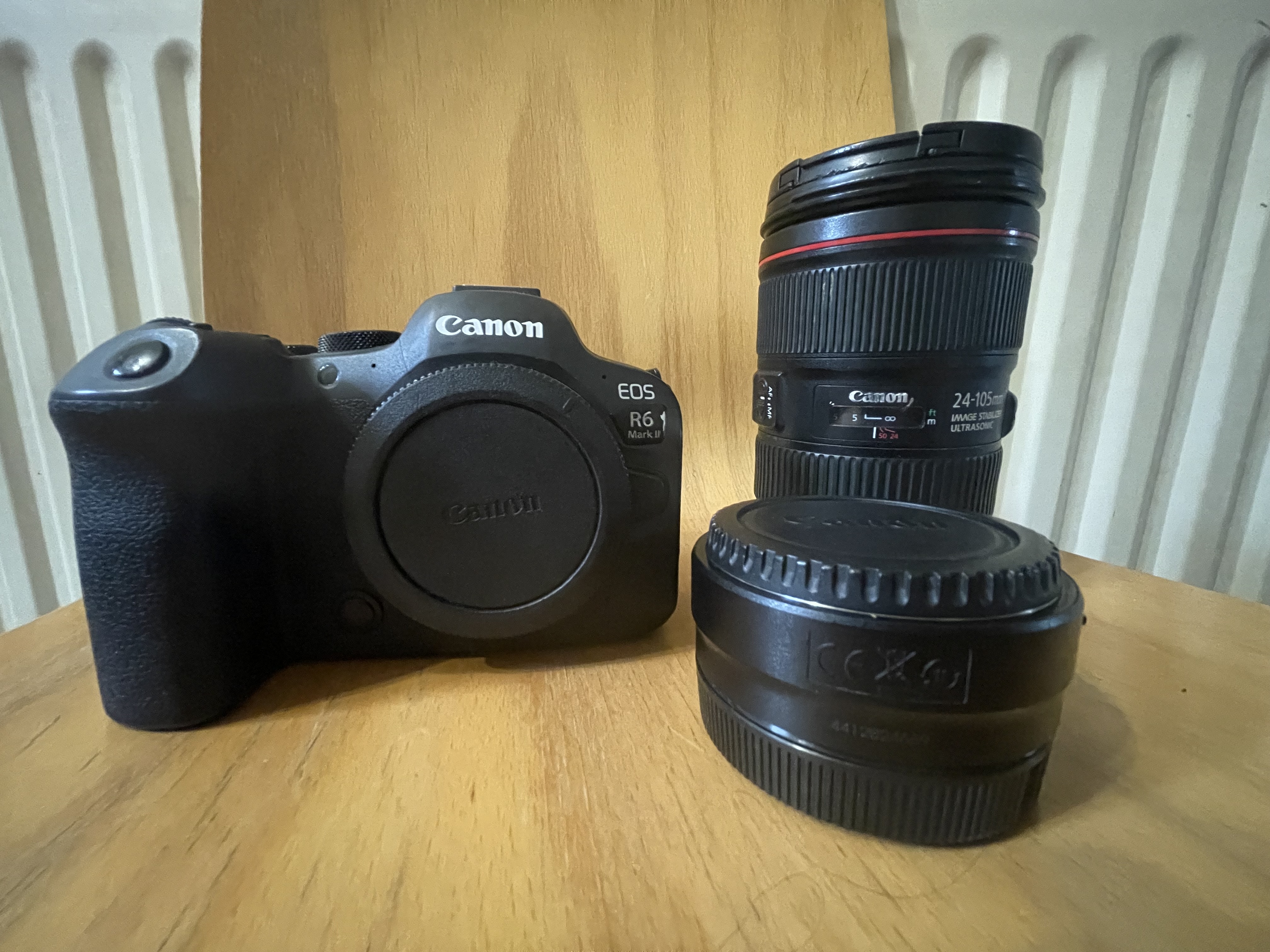 Canon eos r6 mark ii with ef-eos r converter and zeadio camera rig