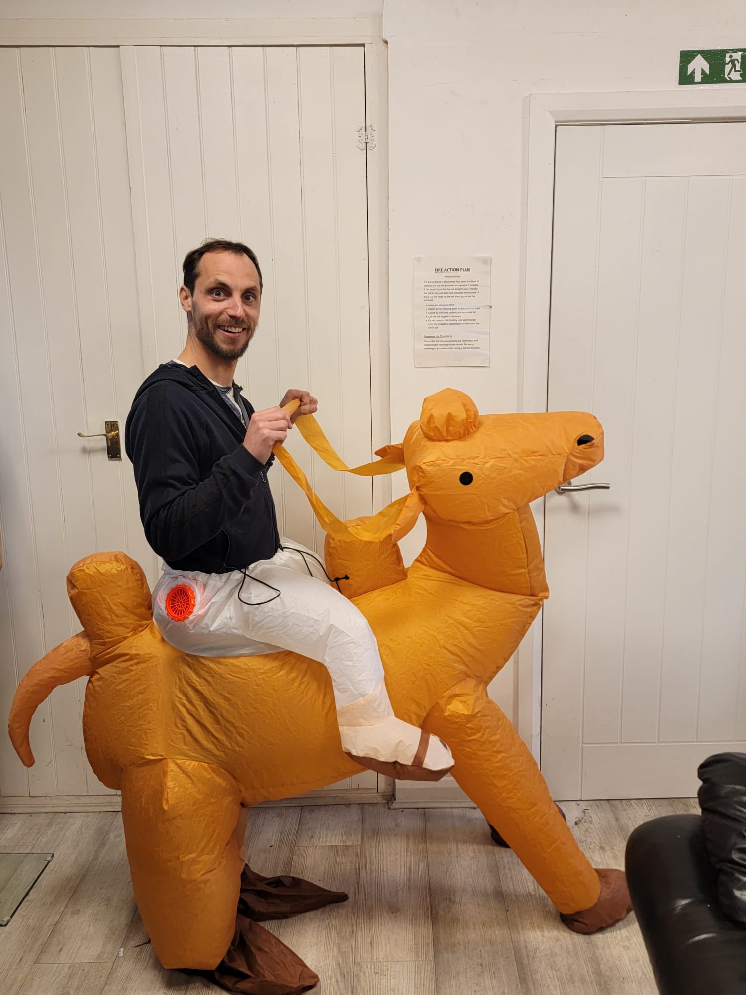 Inflatable camel costume