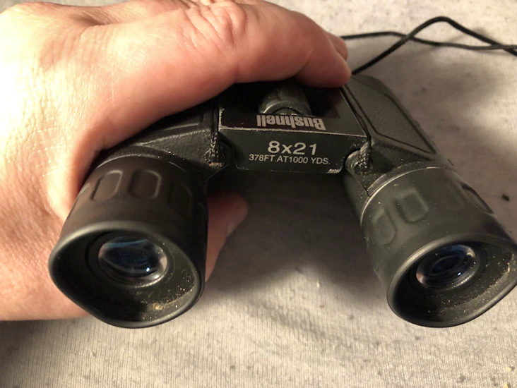 Leie av kikkert 8x21! 1000m kompakt