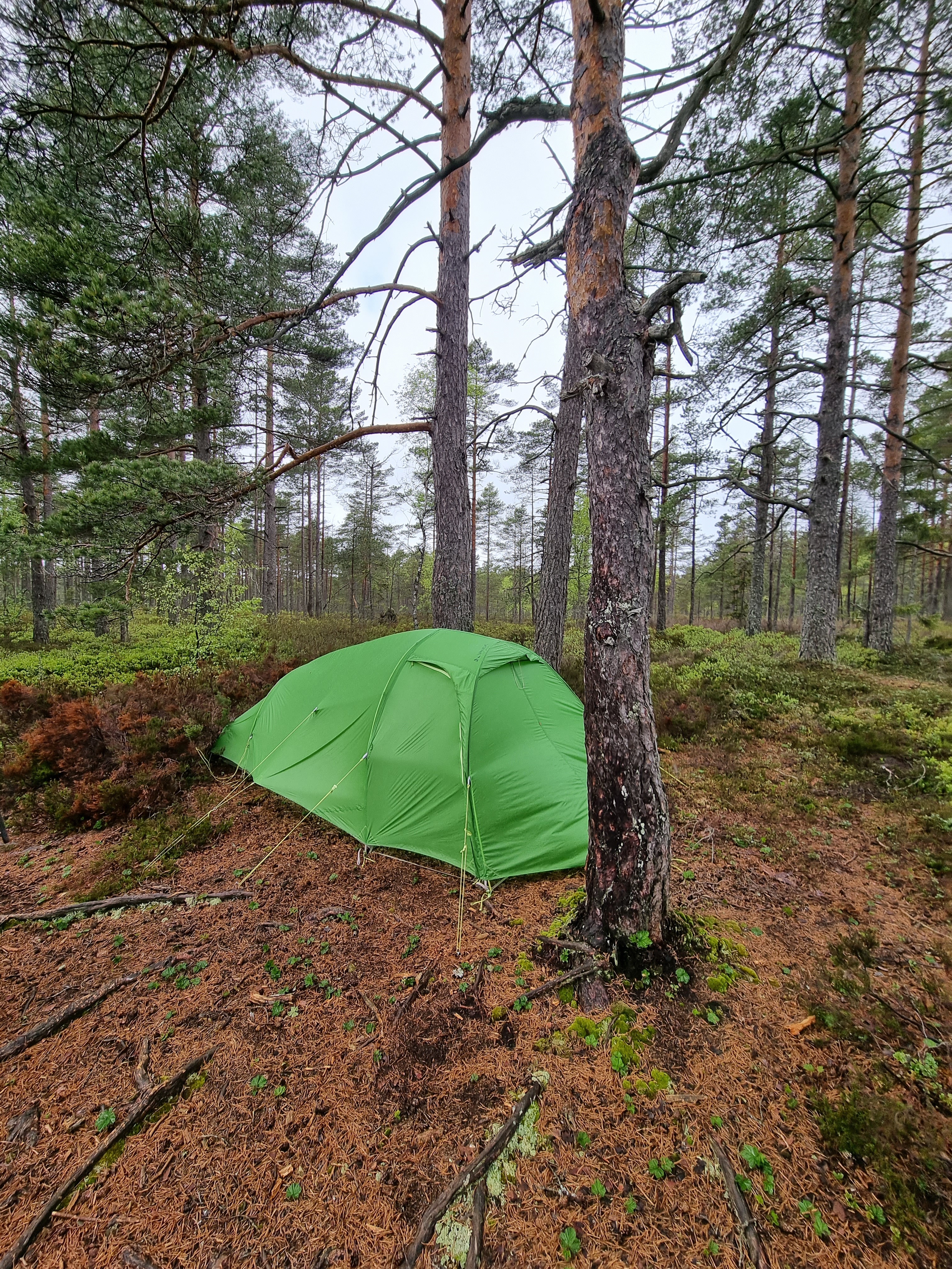 Lätt tält vaude hogan sul xt 2–3p med markskydd 