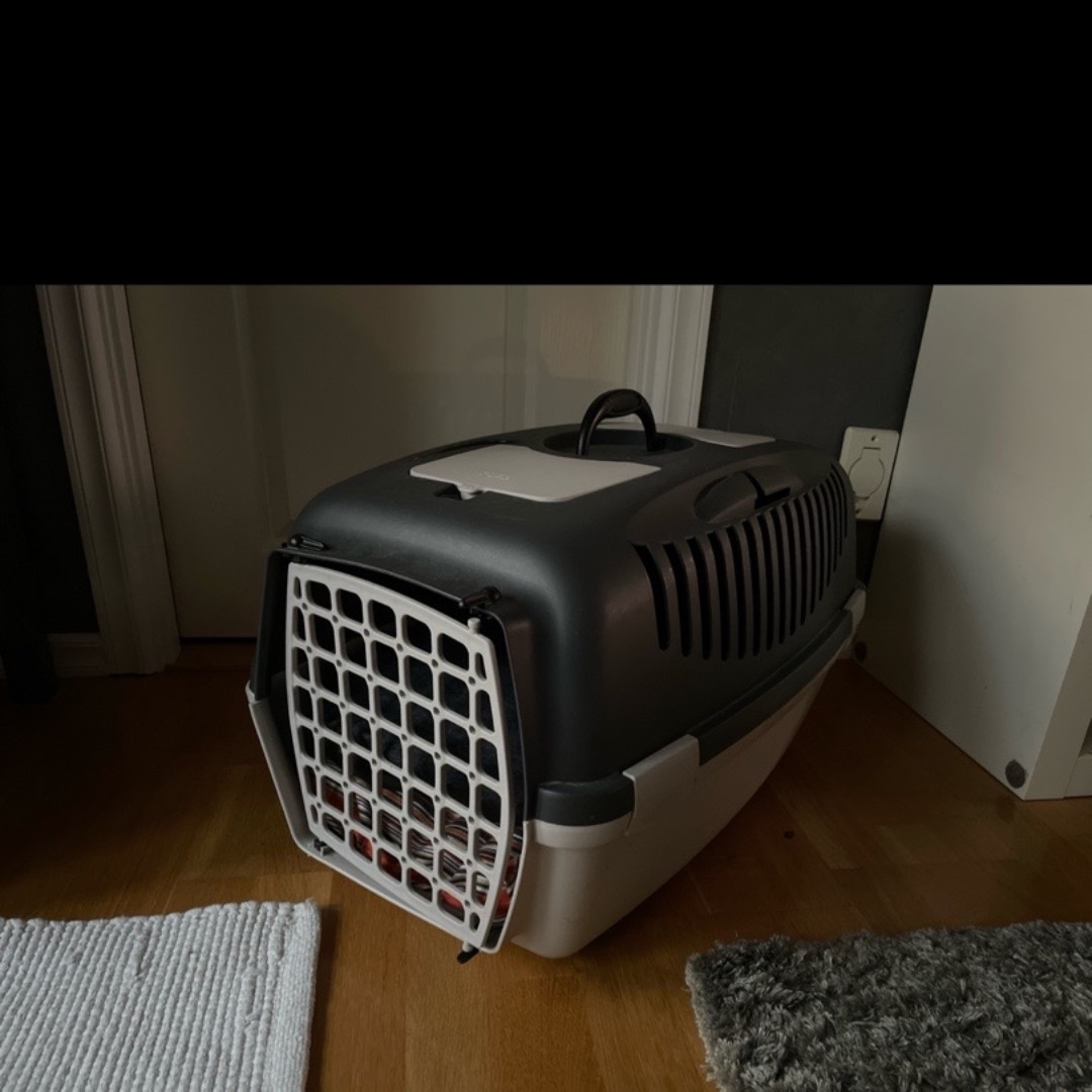 Gulliver 3 transportbur