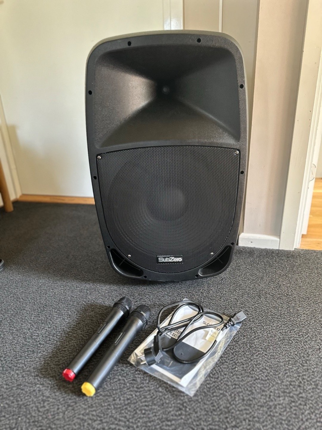 Portabel 15" högtalare med två mikrofoner