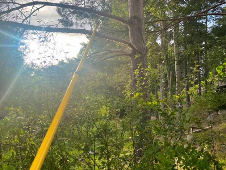 12m såg, teleskåp skaft med såg
