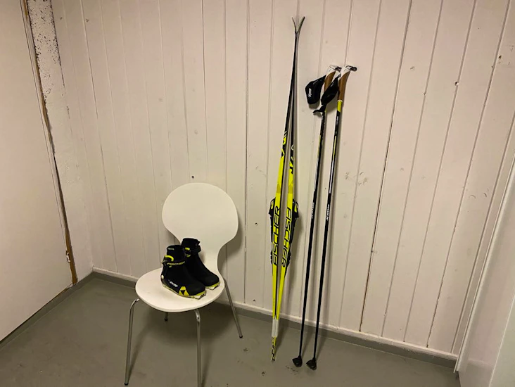 Langrennski dame - fristil / skøyting