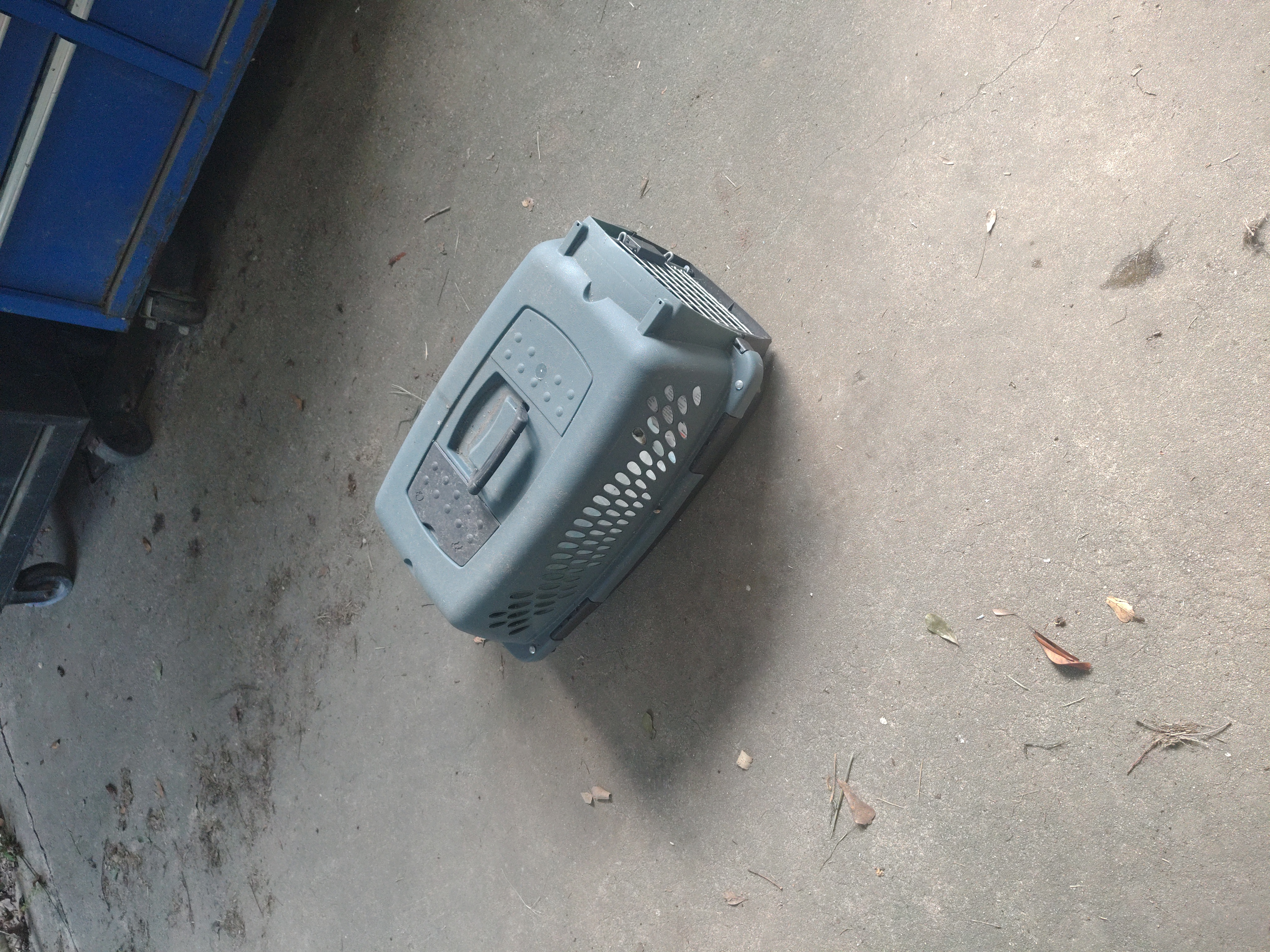 Small pet carrier
