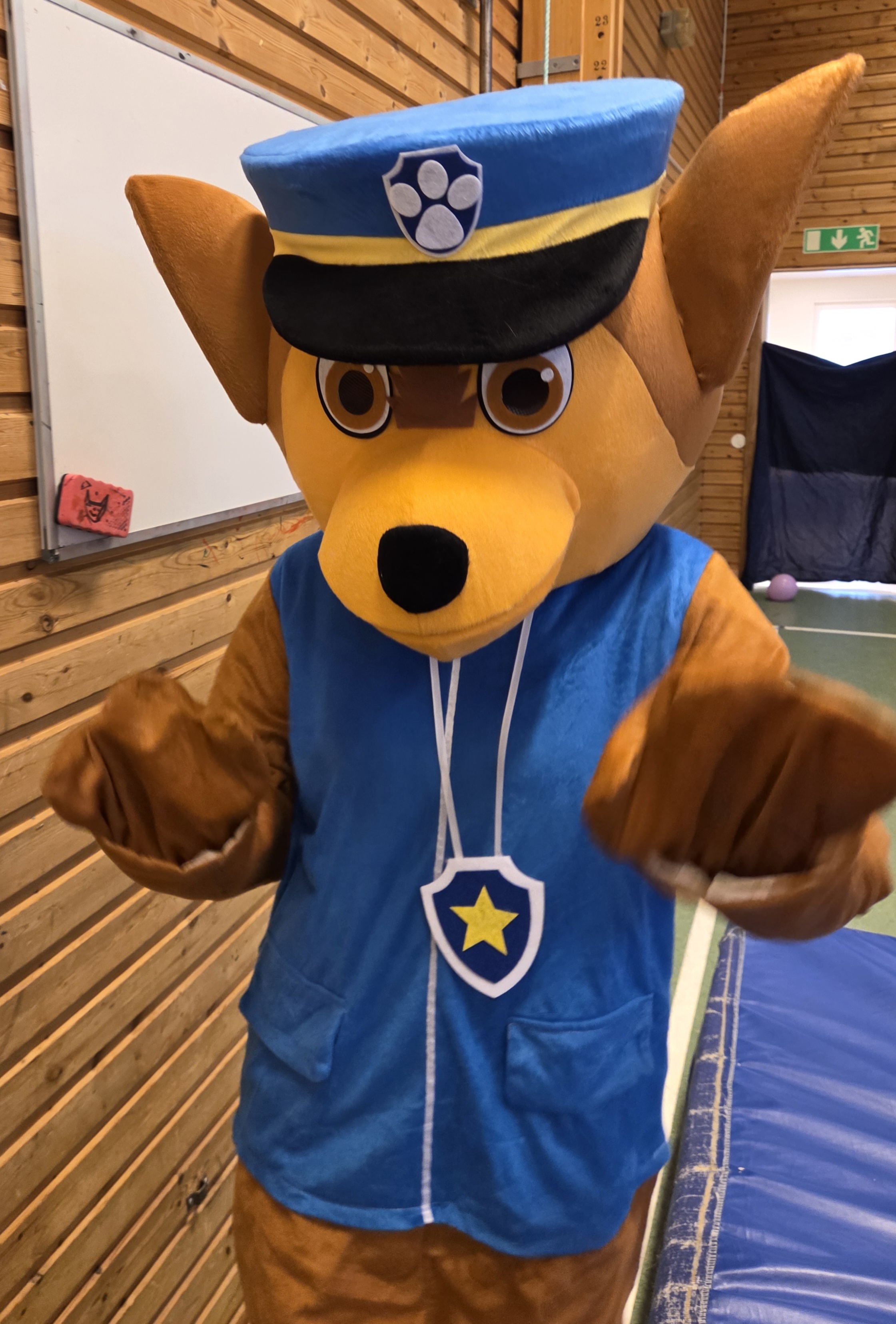 Chase paw patrol 