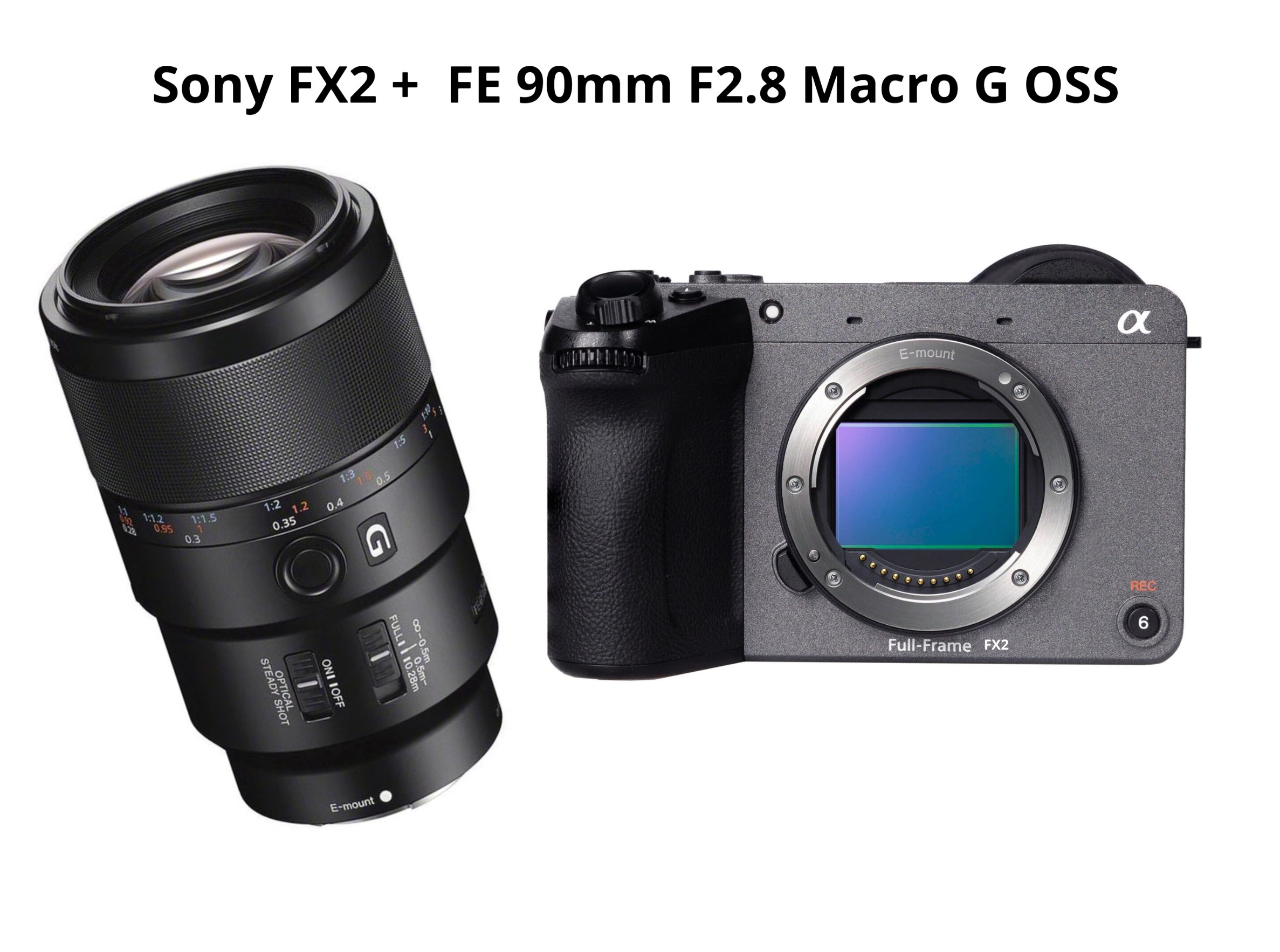 Sony fx2 + fe 90mm macro f2.8 g 