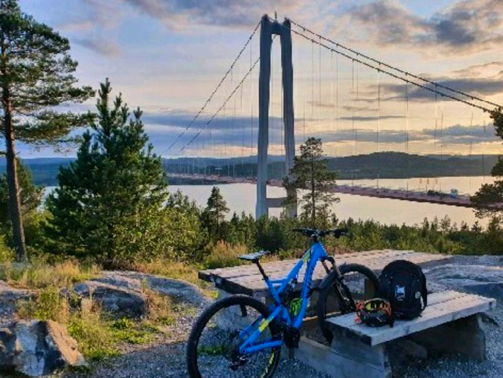 Fulldämpad white fs 290 pro