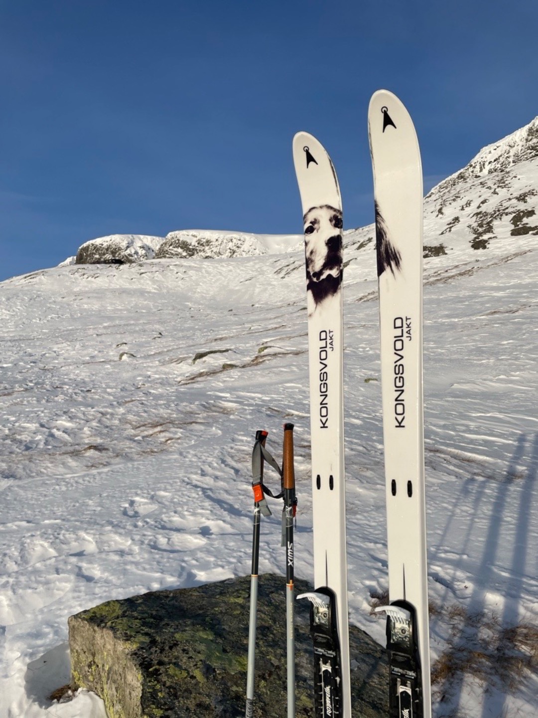 Åsnes kongsvold med rottefella bindinger, 
