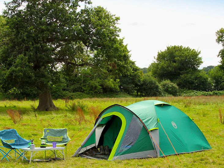 Tremannstelt med black out