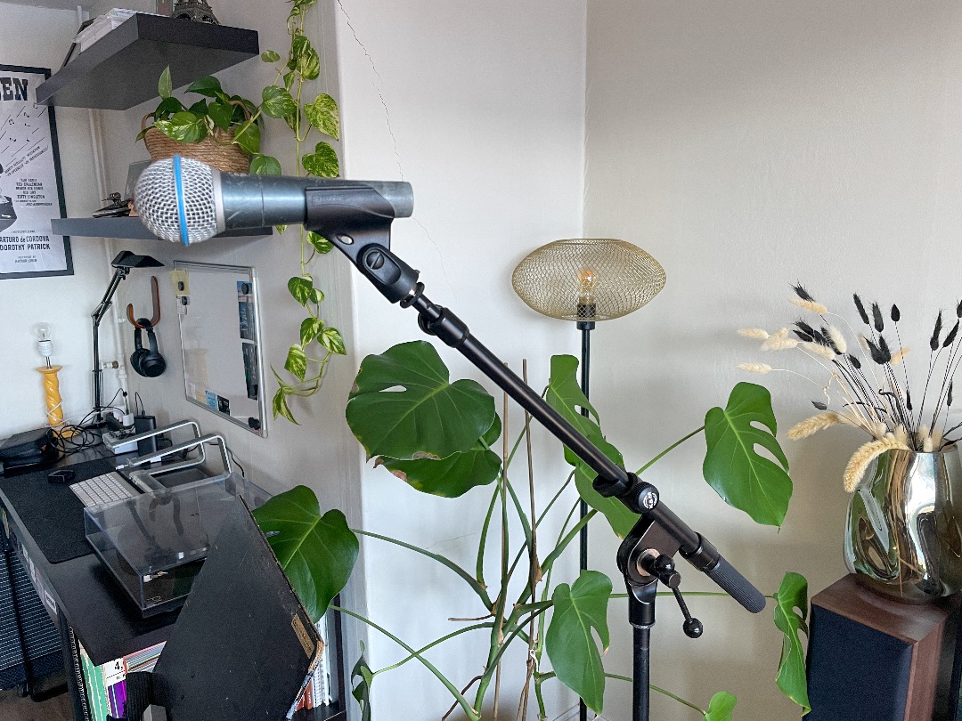Shure beta58a håndholdt mikrofon
