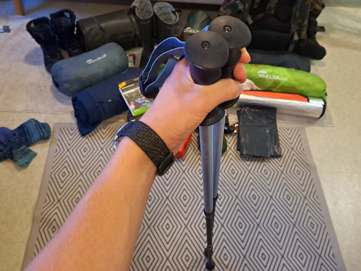 Hiking / walking poles