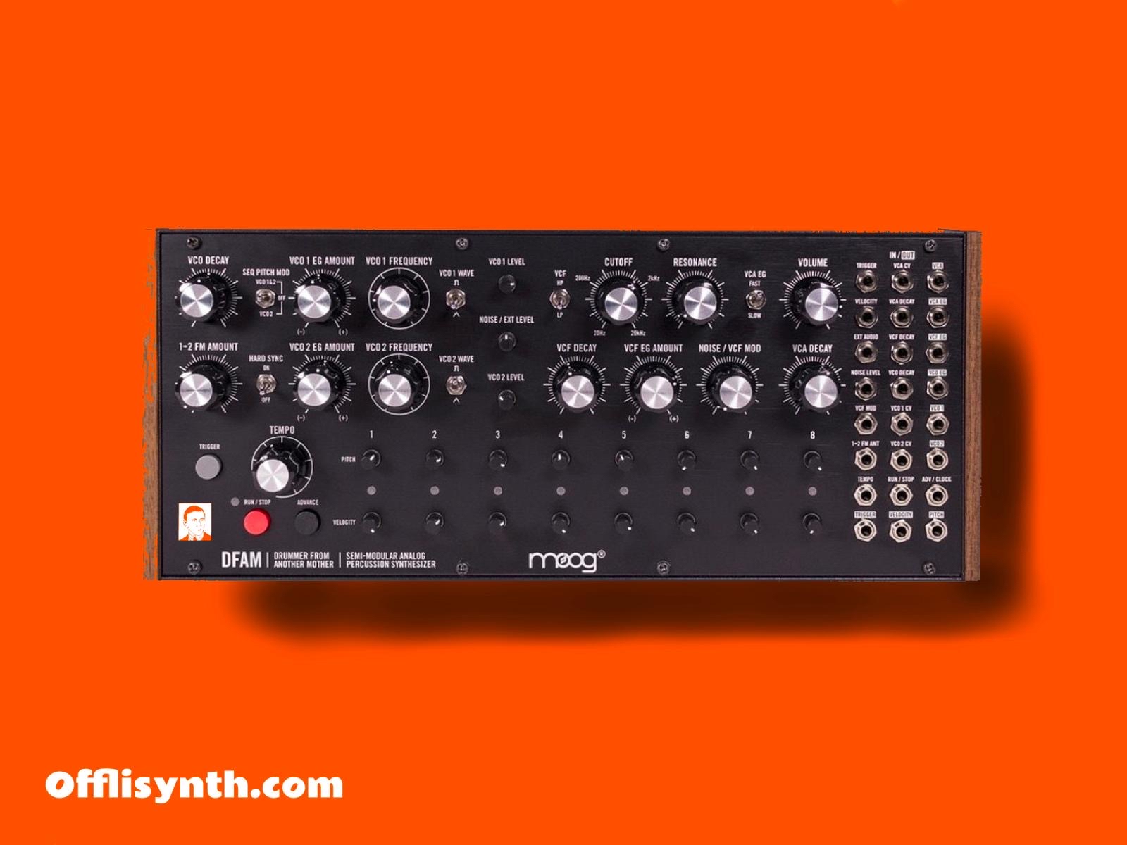Moog dfam