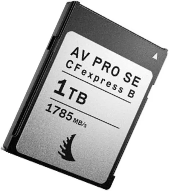 Cf express type b angle bird 1 tb card