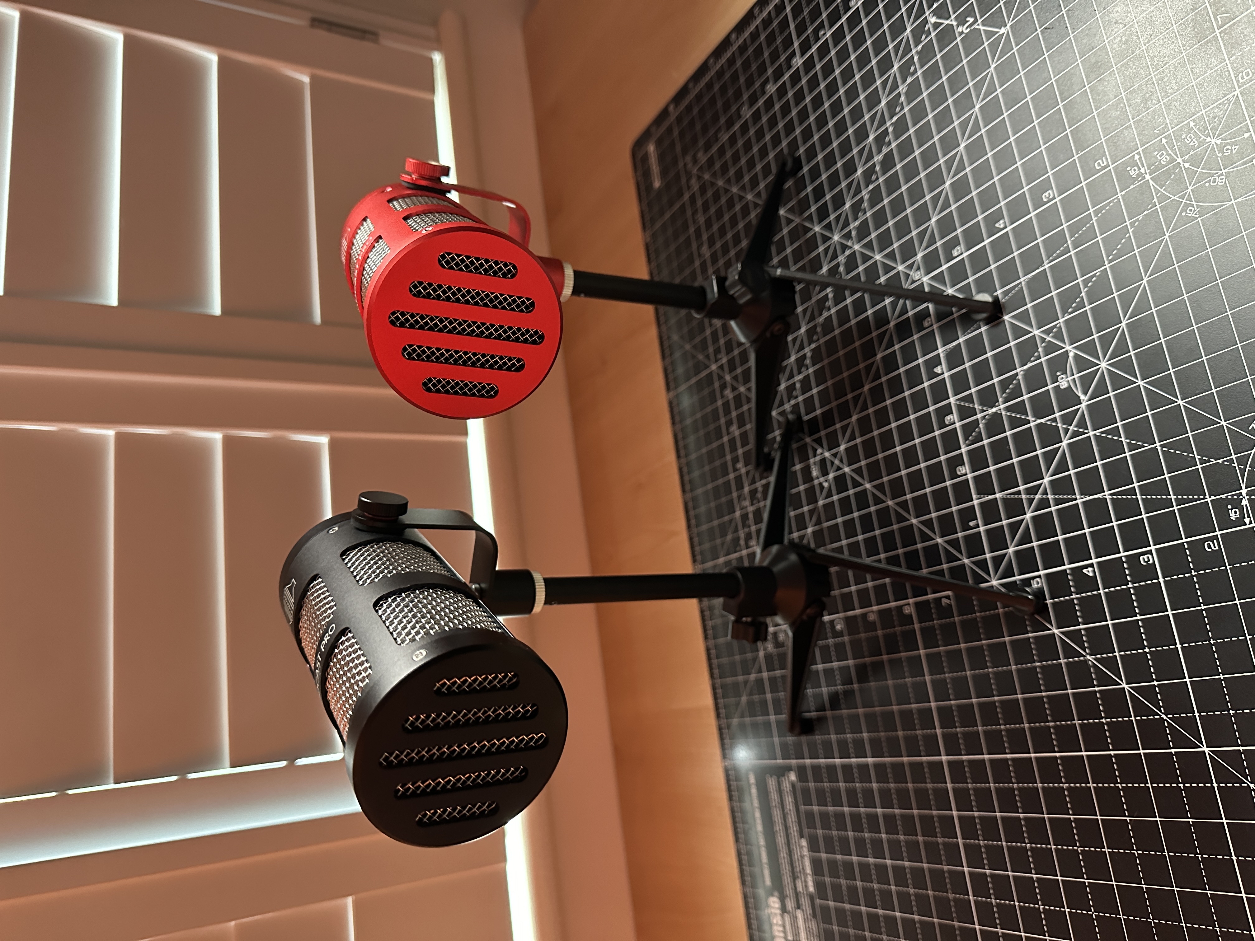 Two podcast pro mics