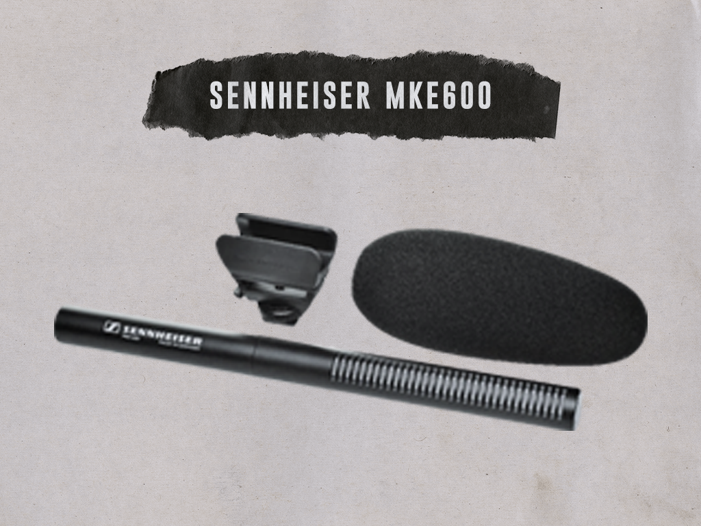 Sennheiser mke 600 (shotgun microphone)