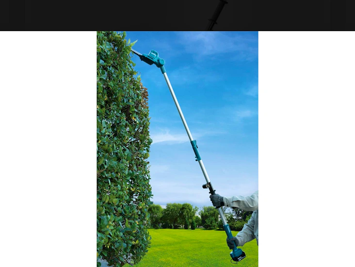 Stånghäcksax teleskopisk