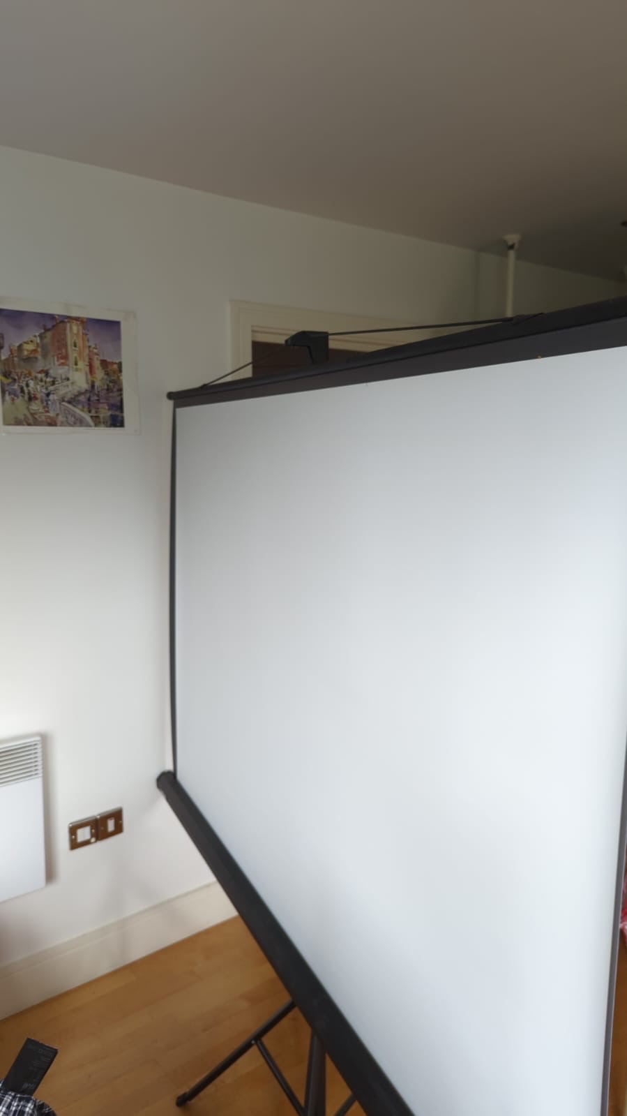 Projector and outdoor screen 