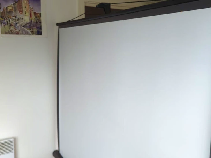 Projector and outdoor screen