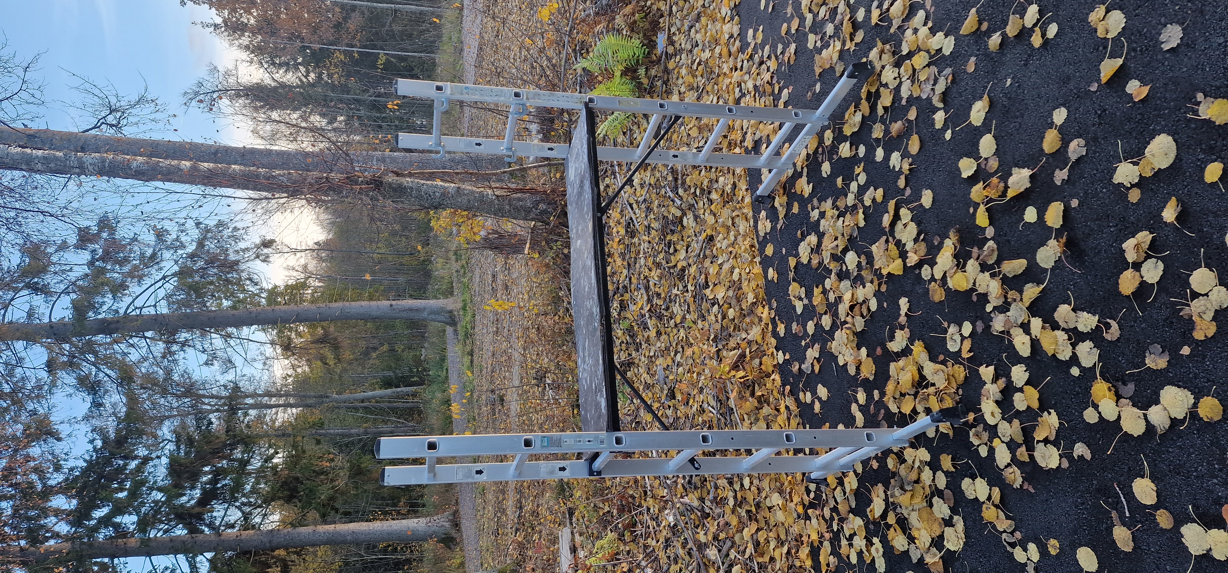 Kombinationsstege med plattform
