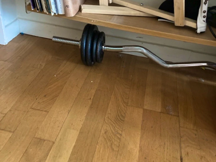 Skivstång med viktskivor totalt 12 kg
