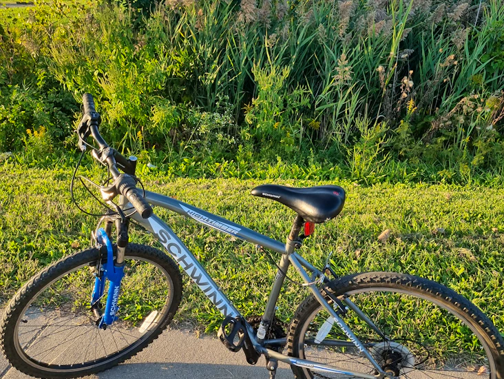 Schwinn 21 speed bike