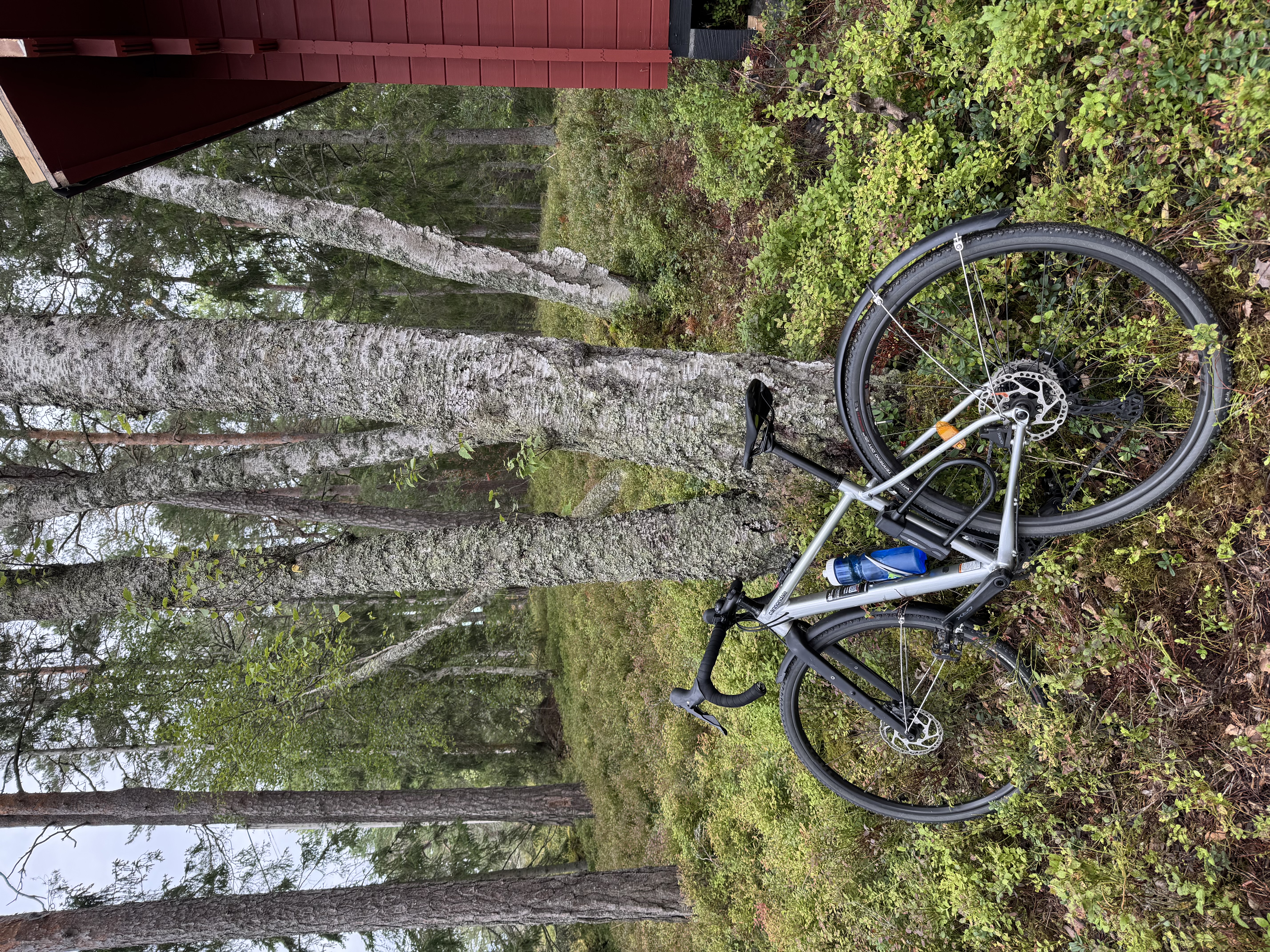Gravel cannondale topstone 1 xs, dam