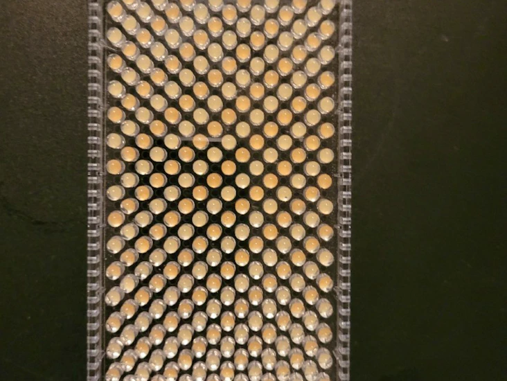 Aputure amaran f1 videolys