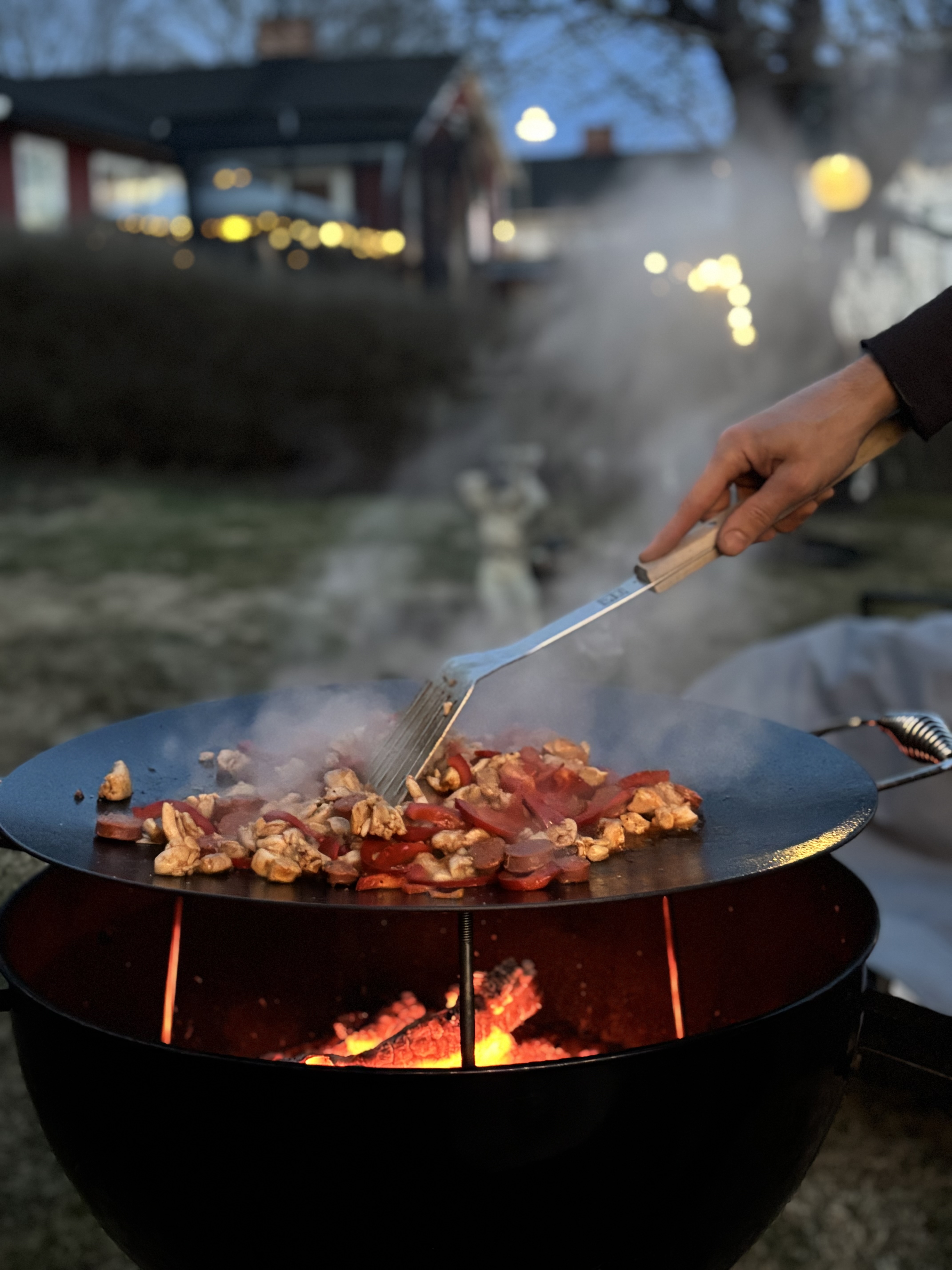 Stekhäll/muurikka/paellapanna 58 cm