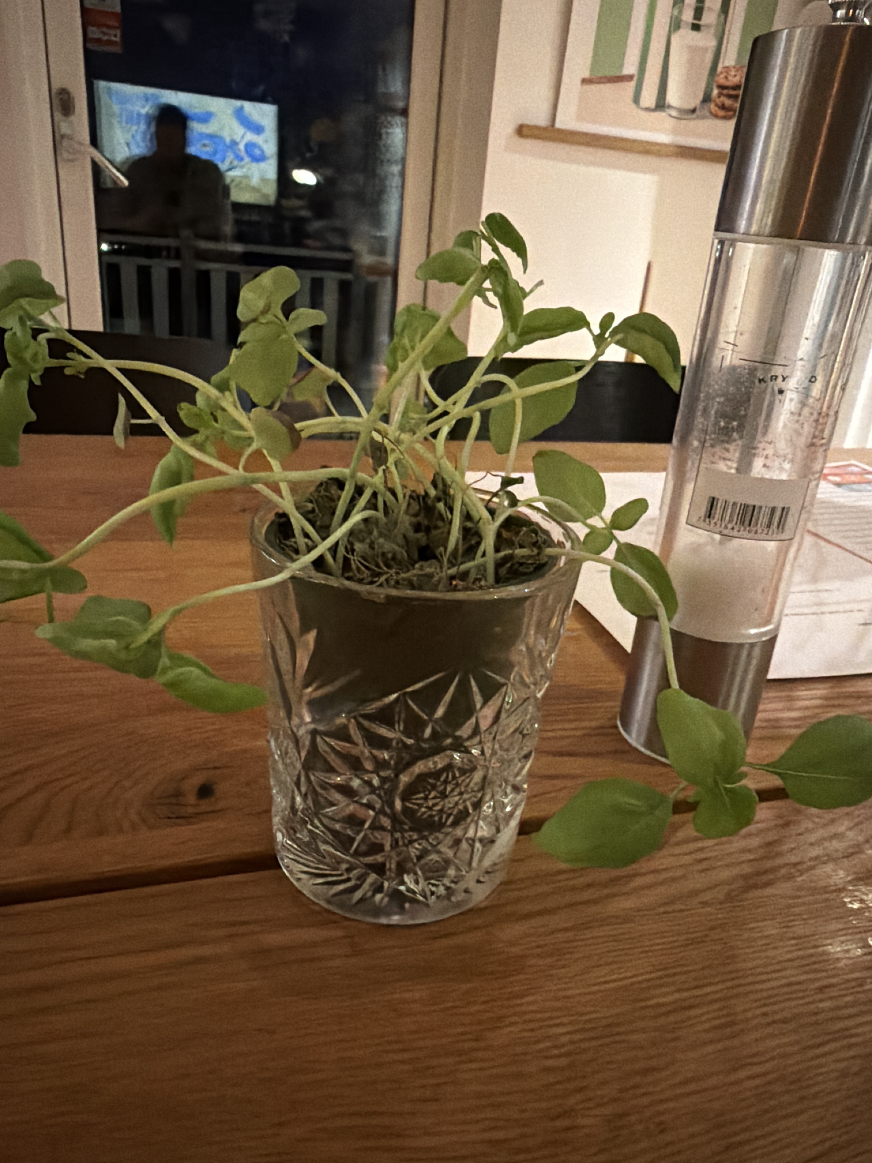 Uppblåsbart tält 100kvm svart höjd 5 meter