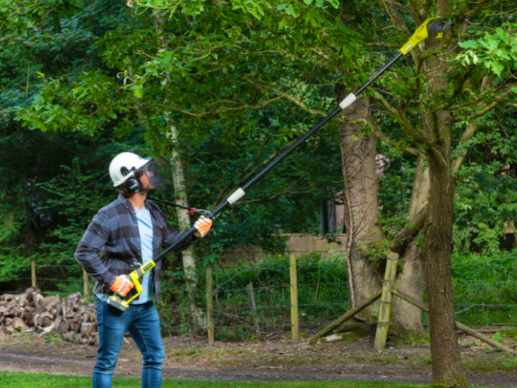 Forlengbar grensag (4m) fra ryobi.