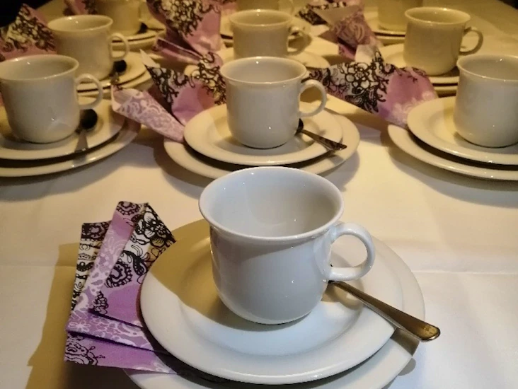 Arabia arctica kahviastiasto