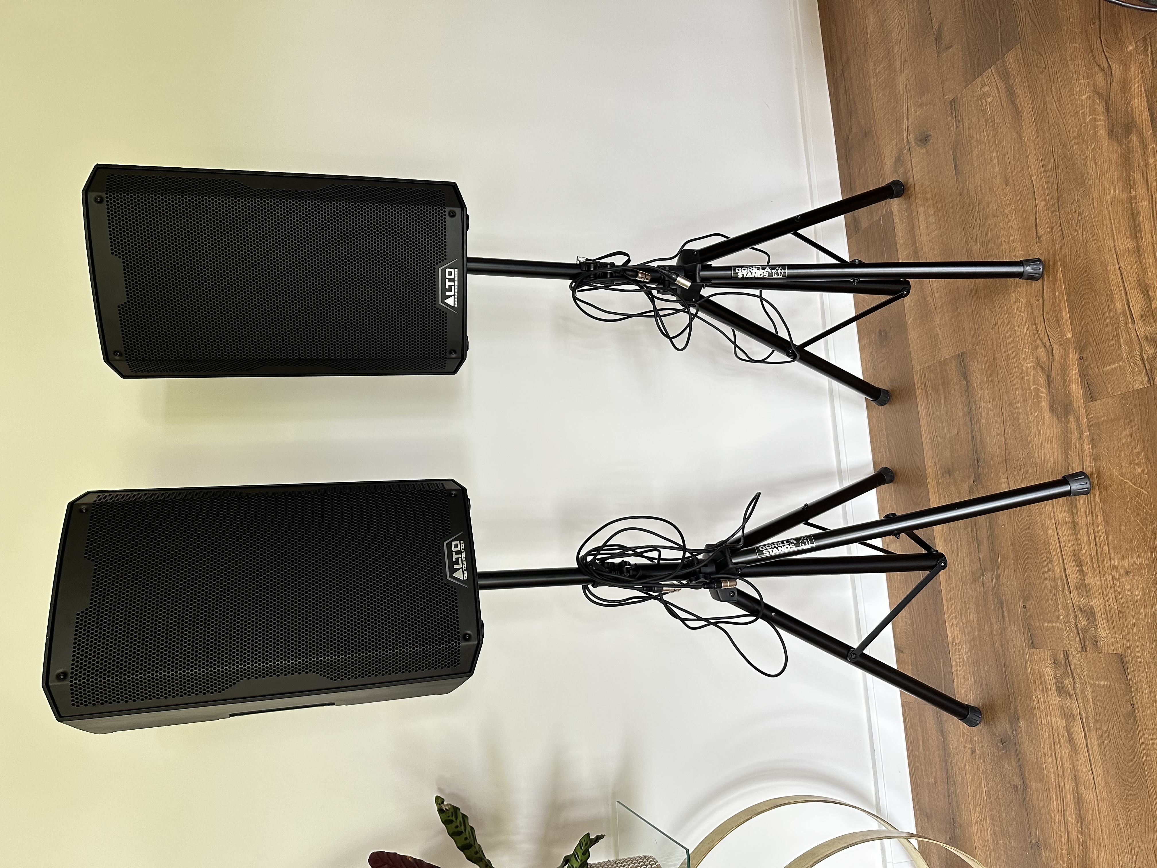 Alto 12inch dj speakers (pair) with stands 