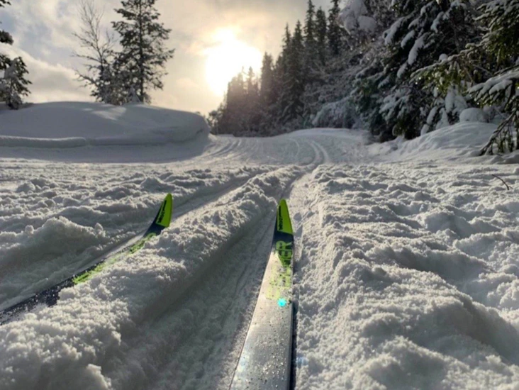 Felleski med sko og staver