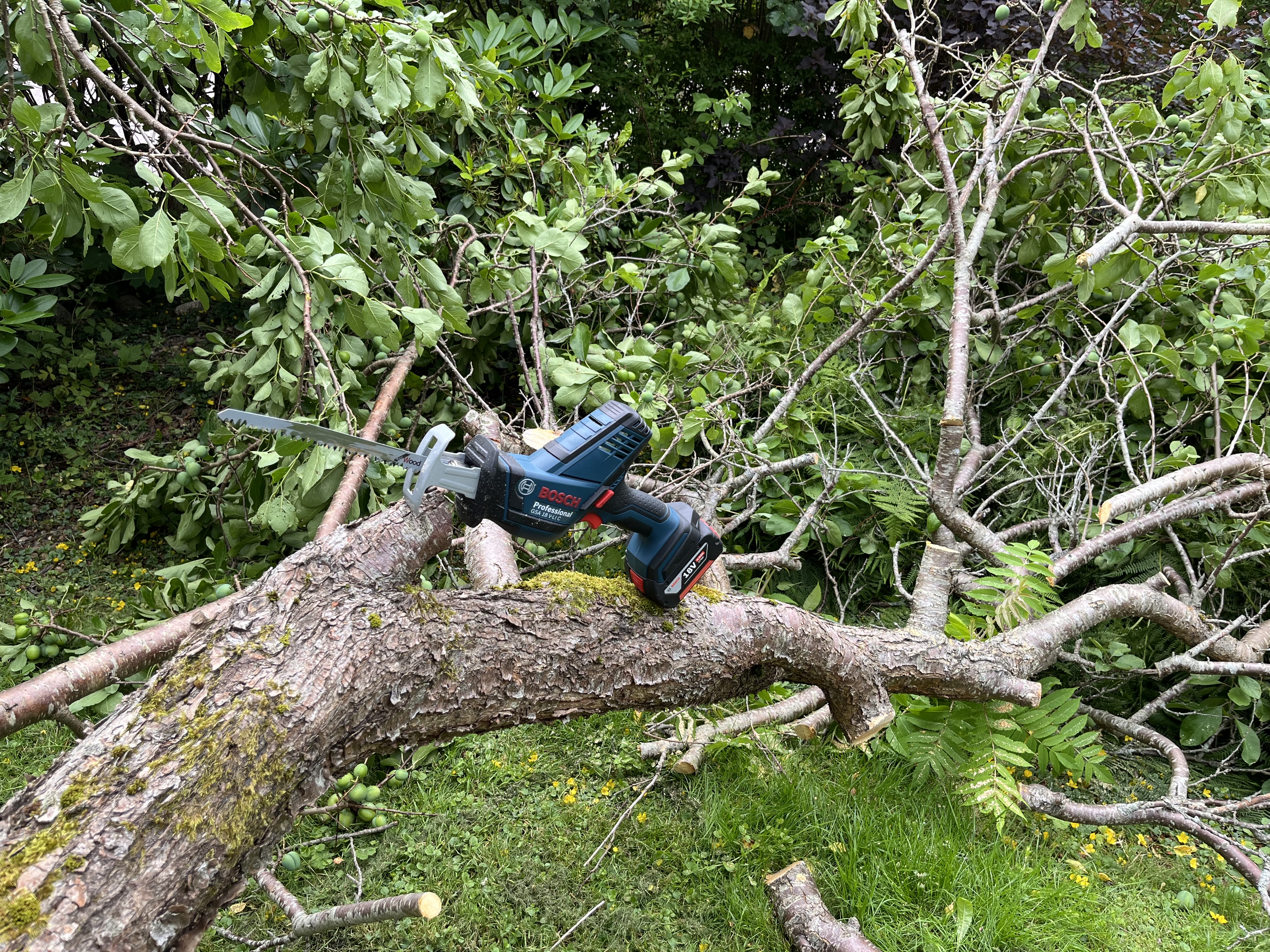 Bosch tigersåg batteridriven 