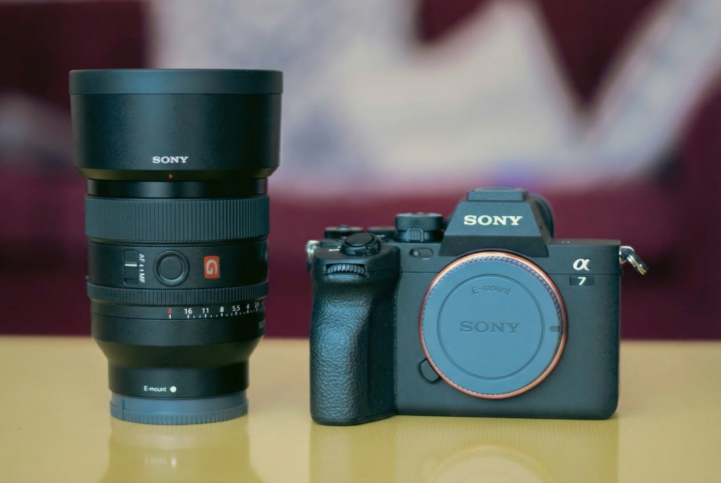 Sony a7iv with sony gm 50mm f1.4 lens