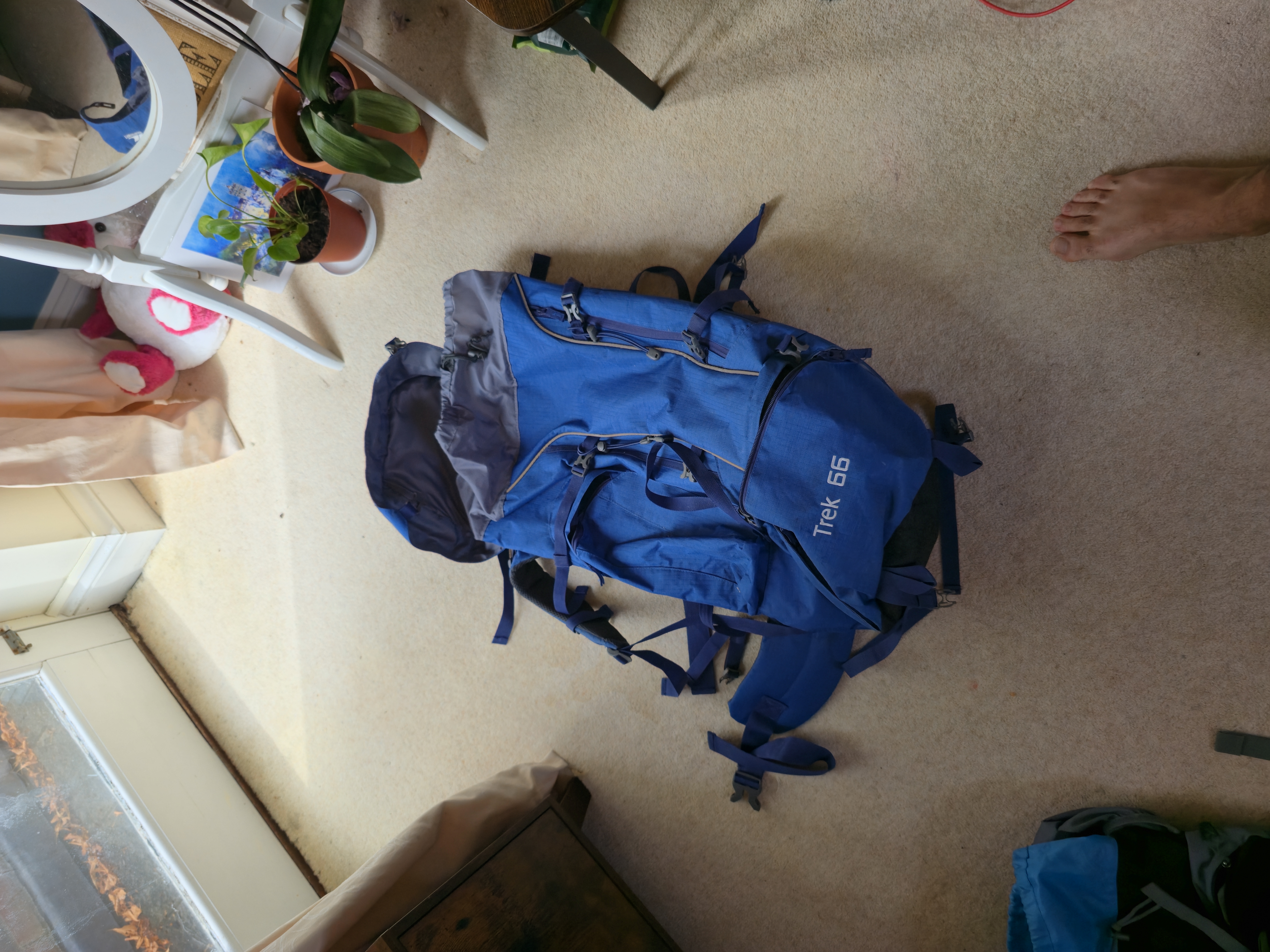 66l large hiking/trekking bag