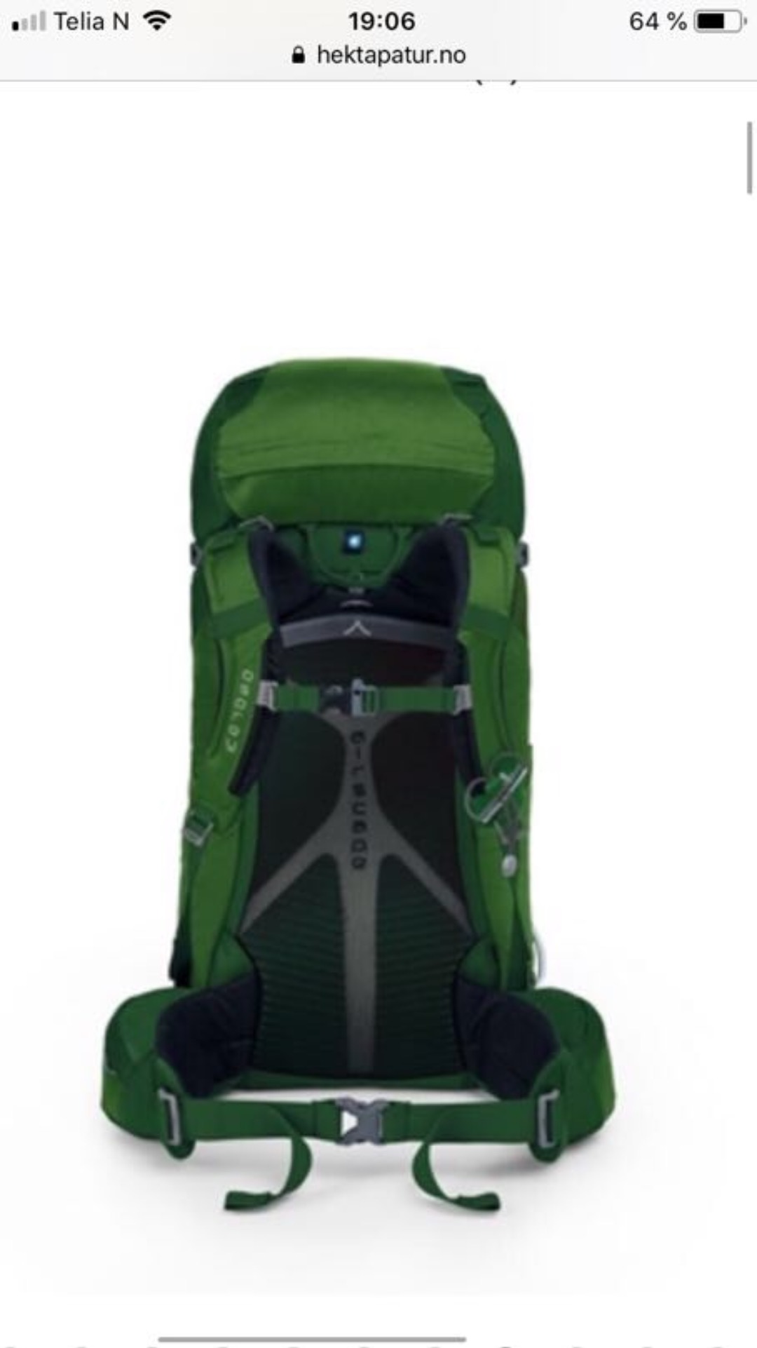 Osprey kestrel 38