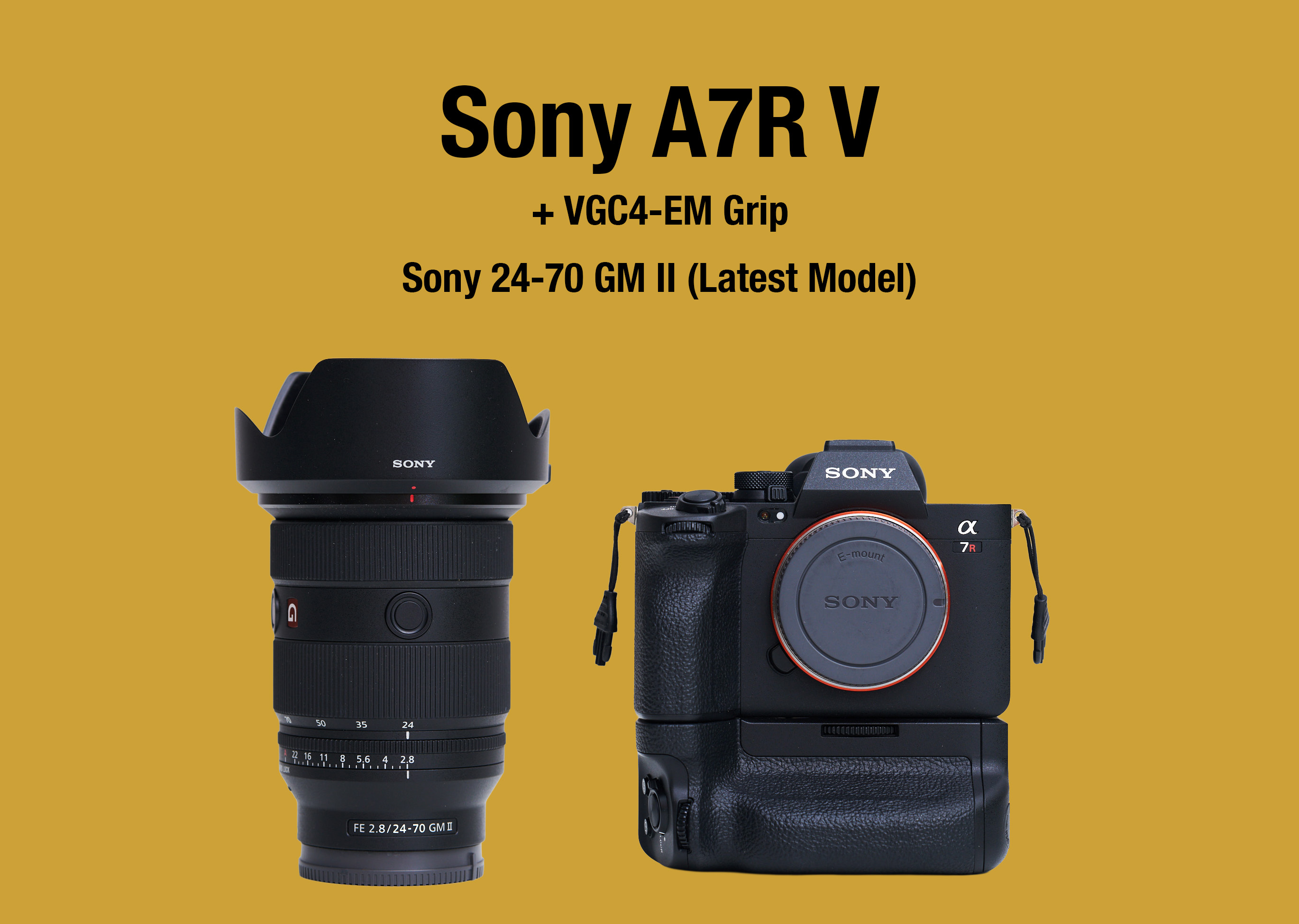 Sony a7rv + 24-70 f2.8 gm ii