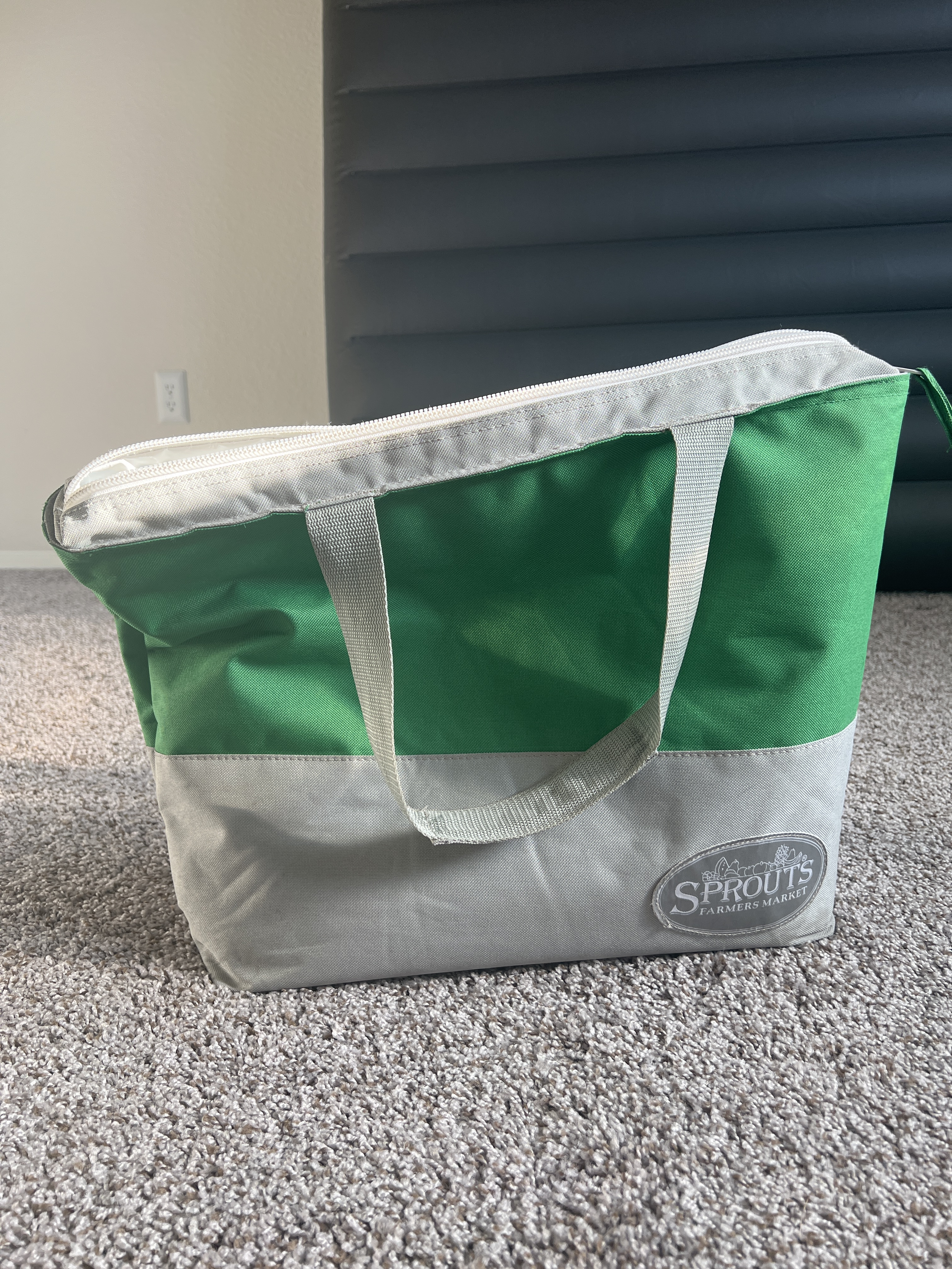 Cold storage food bag