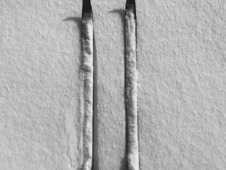 Alfa fjellskisko strl 41