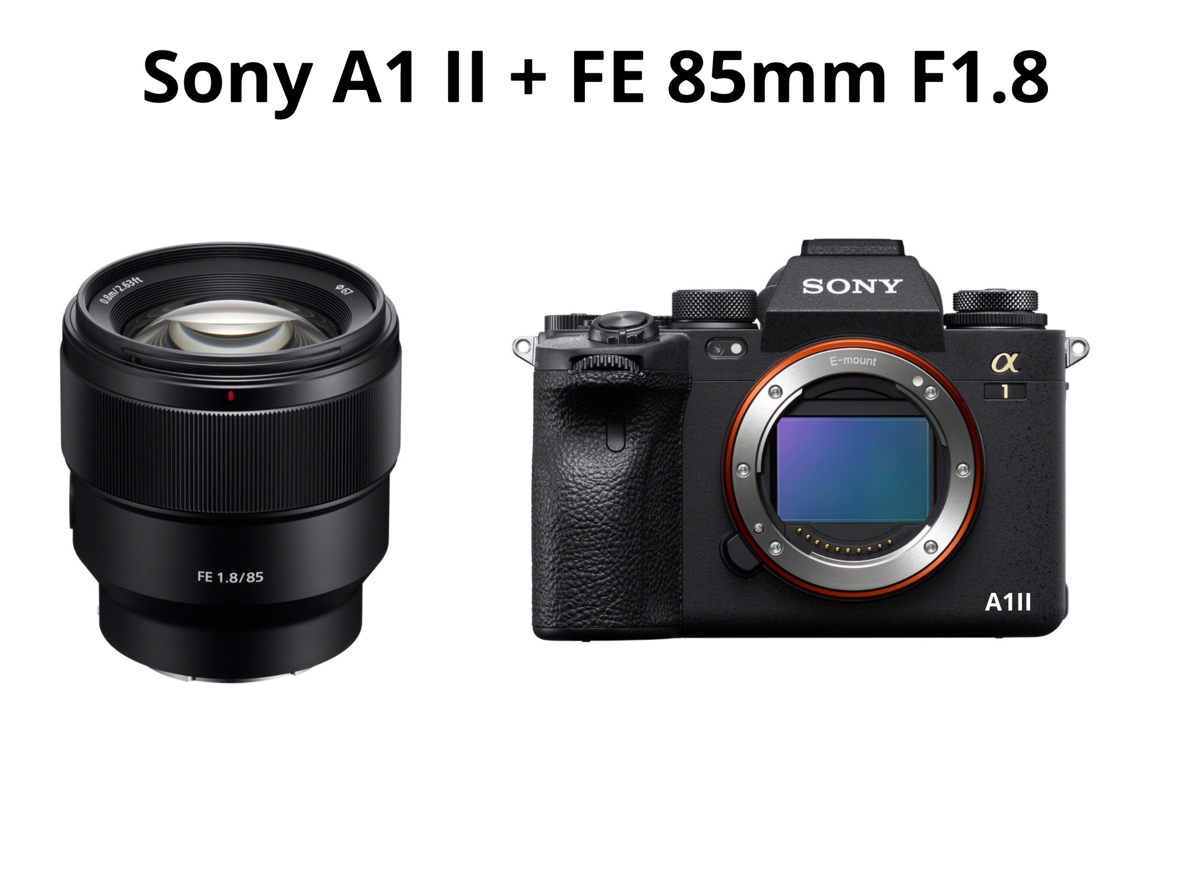 Sony a1 ii + fe 85 mm f1.8 