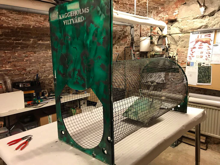 Rävfälla / grävlingsfälla / rymda husdjur