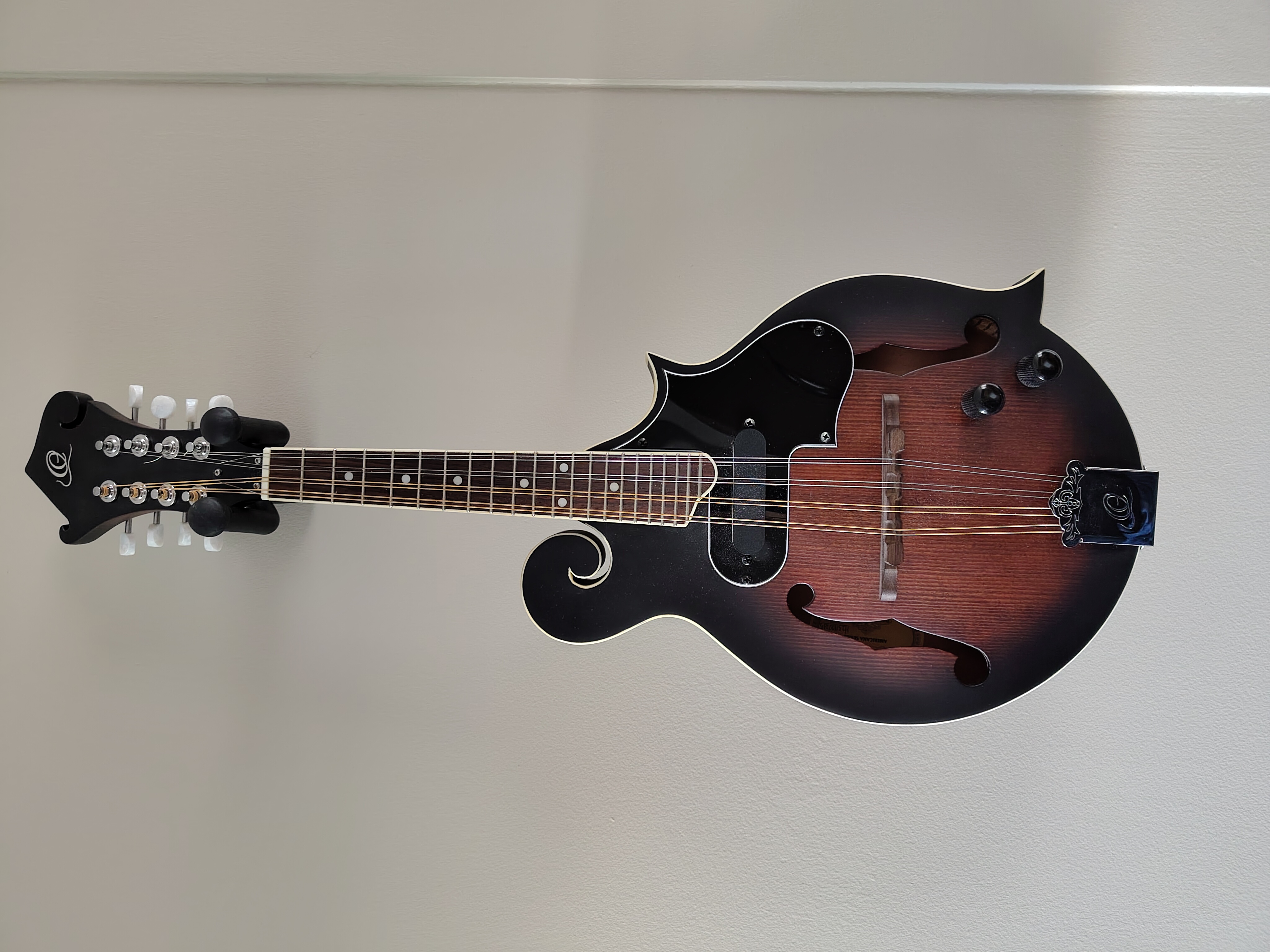 Mandolin - ortega - halvakustisk